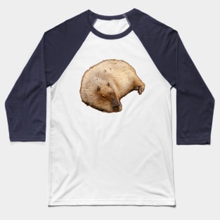 Capybara just lying around Baseball T-Shirt